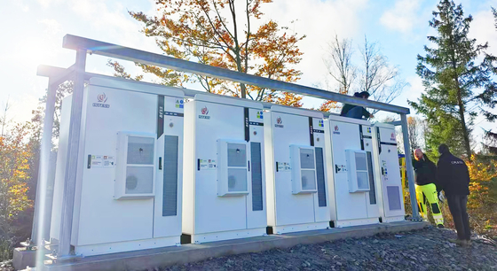 215Kwh-container zonne-lithiumbatterijen voor opslag van hoogspanningsenergie in industriële en commerciële toepassingen